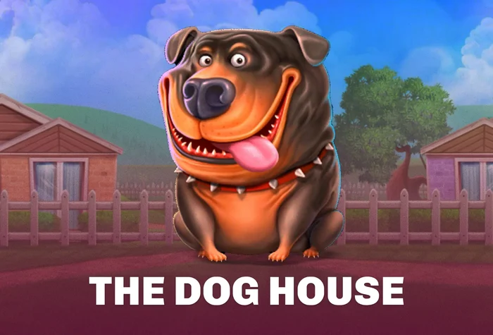 The Dog House slot game at Velobet casino